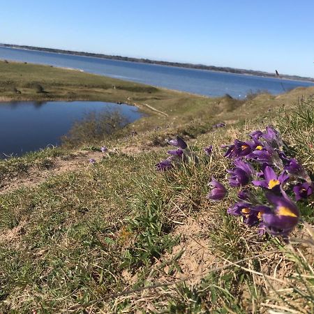 Porshus Ferielejlighed Sundstrup Екстериор снимка