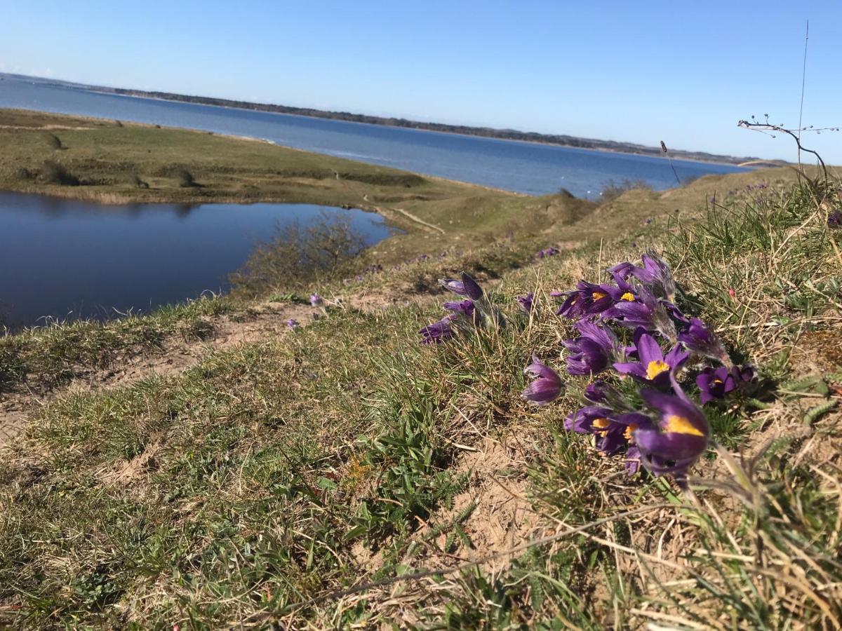 Porshus Ferielejlighed Sundstrup Екстериор снимка